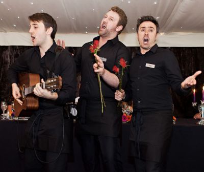 Singing Waiters & Waitresses Acts